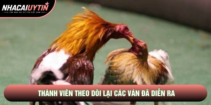 Thành viên theo dõi lại các ván đã diễn ra Thành viên theo dõi lại các ván đã diễn ra